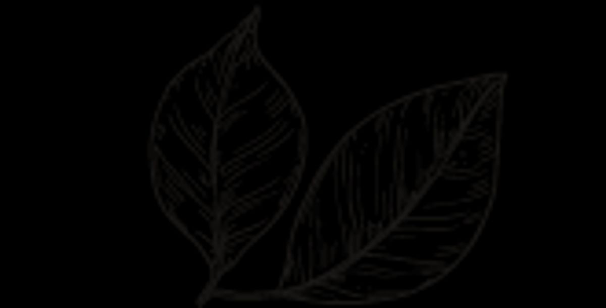 Nature et alimentation naturelle