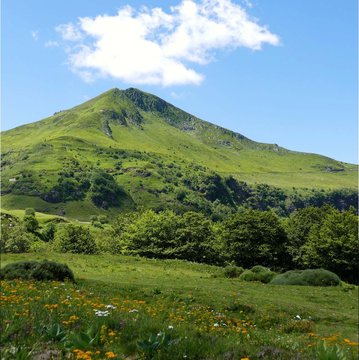 Paysage cantalien de la Châtaigneraie